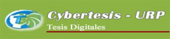 10_cybertesis